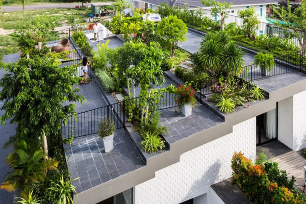 Dicas de como escolher as melhores plantas para o seu jardim urbano