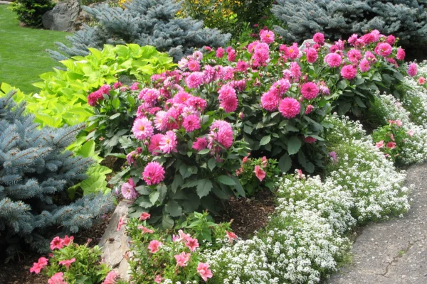 Benefícios da jardinagem para a saúde e o meio ambiente