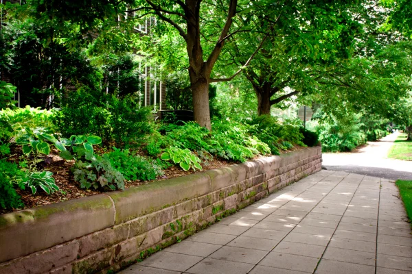 O que é paisagismo sustentável, como fazer e quais plantas usar